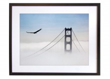 Aigle survolant le Golden Gate - 50 x 40 cm